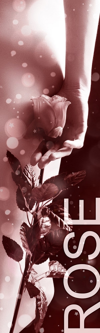 Status Rose - Honorarübersicht Escort Dortmund Status Rose - Honorarübersicht Escort Dortmund