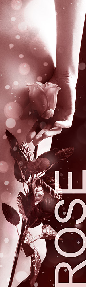 Honorar Status Rose - Escort Dortmund Honorar Status Rose - Escort Dortmund
